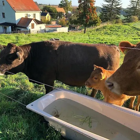 Schaf-suite Xxl Auf Dem Bauernhof Appartement Nossen