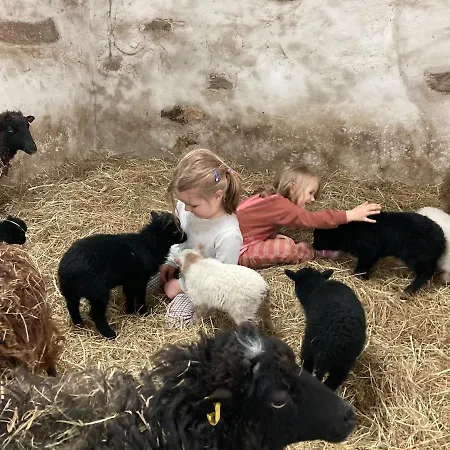 Schaf-suite Xxl Auf Dem Bauernhof * Nossen